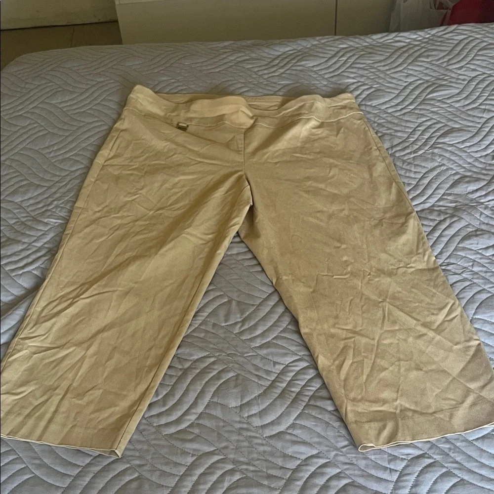 Alfani stylish cropped